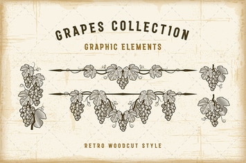 Retro Grapes Collection