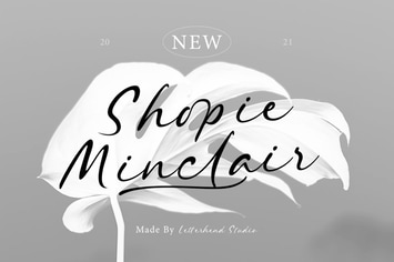 Shopie Minclair 
