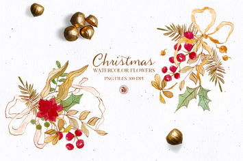 Christmas flowers - watercolor clipart
