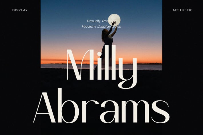 Milly Abrams - Modern Display