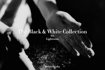 Black & White Lightroom Presets