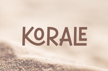 Modern Sans Serif Display Font