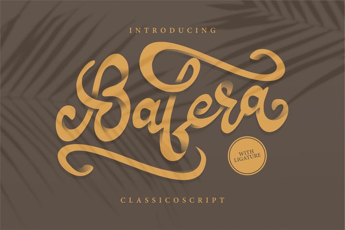 Bafera | Classico Script Font