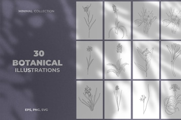 Minimal Botanical Illustrations