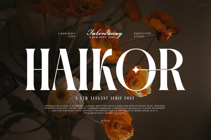 Haikor Elegant Serif Font Typeface
