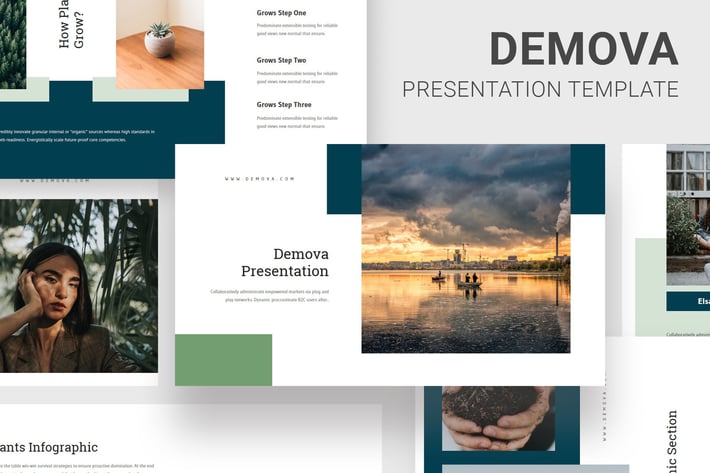 Demova - Pollution Issues Keynote