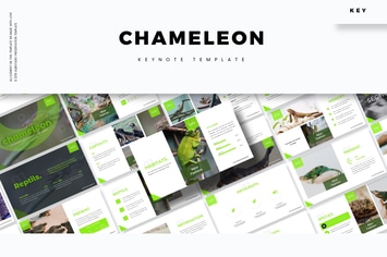 Chameleon - Keynote Template