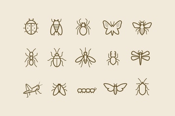 15 Insect Icons