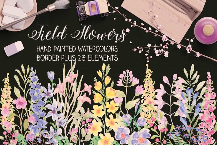 Field Flowers: Watercolor Border plus Elements