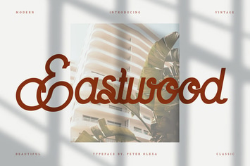 Eastwood Retro Monoline Script