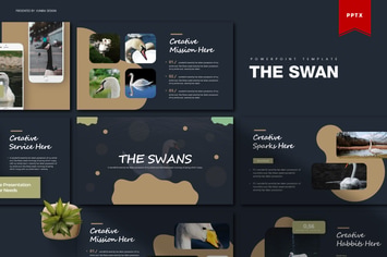 The Swan | Powerpoint Template