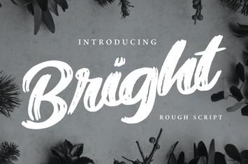 Bright | Modern Rough Script Font