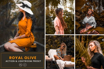 Royal Olive Photoshop Action & Lightrom
