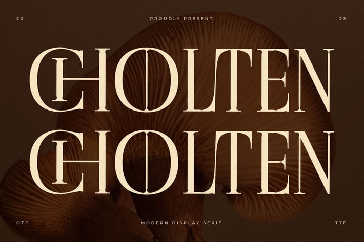 Cholten Modern Display Serif Font 