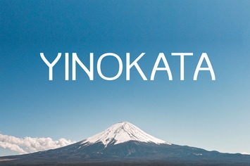 Unique Modern Simple Sans Serif
