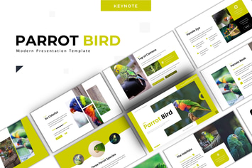 Parrot Bird - Keynote Template