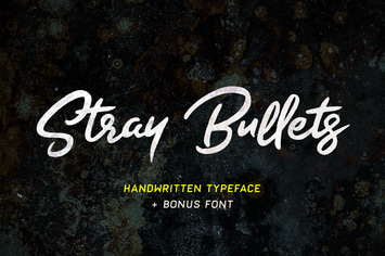 Stray Bullets