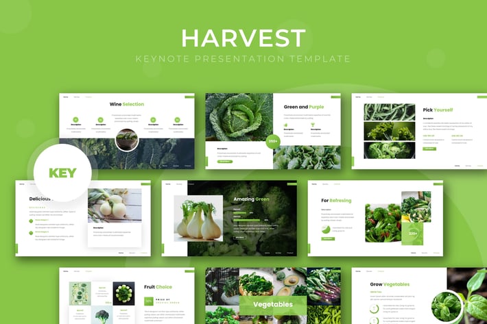 Harvest - Keynote Template