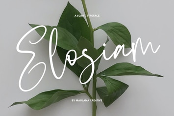 Elosiam Script Typeface