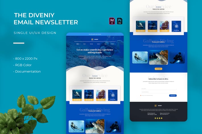 Diveniy | Email Newsletter