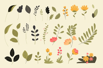 Set of isolated nature elements
