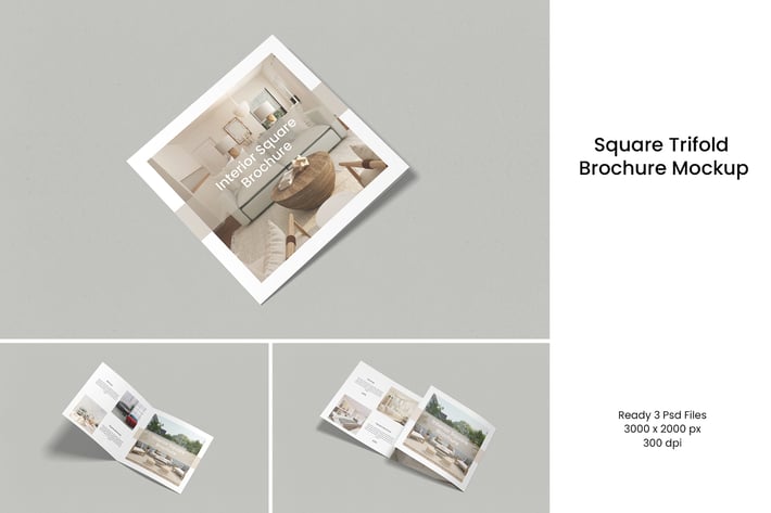 Square Trifold Brochure V.2