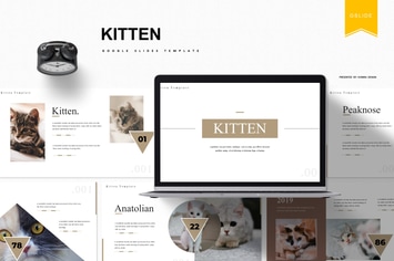 Kitten | Google Slides Template