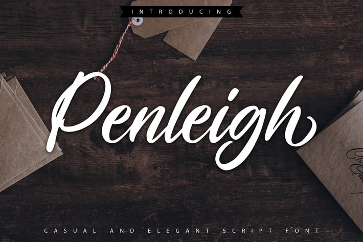 Penleigh | Casual & Elegant Script Font