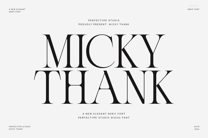 Micky Thanks Elegant Serif Font Typeface
