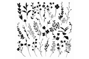Black Hand Drawn Herbs, Plants and Flowers.