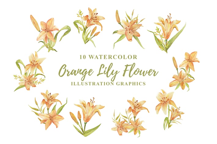 10 Watercolor Orange Lily Flower Illustration