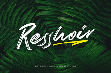 AMR Resshoir