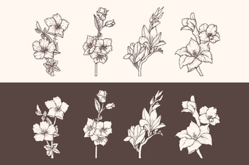 Handdrawn Flower Vol.3