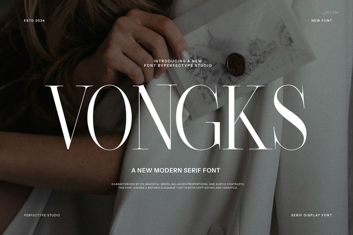 Vongks Elegant Serif Font