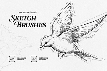 SKETCHER — Sketch Brushes for Procreate