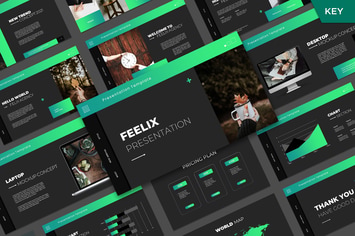 Feelix  Keynote Template
