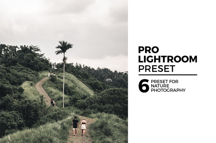 6 Nature Lightroom Preset
