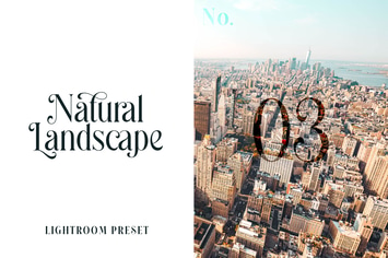 Lightroom Preset - Natural Landscape No.03