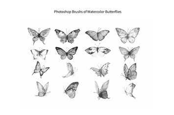Photoshop Brush Watercolor Butterflies ABR