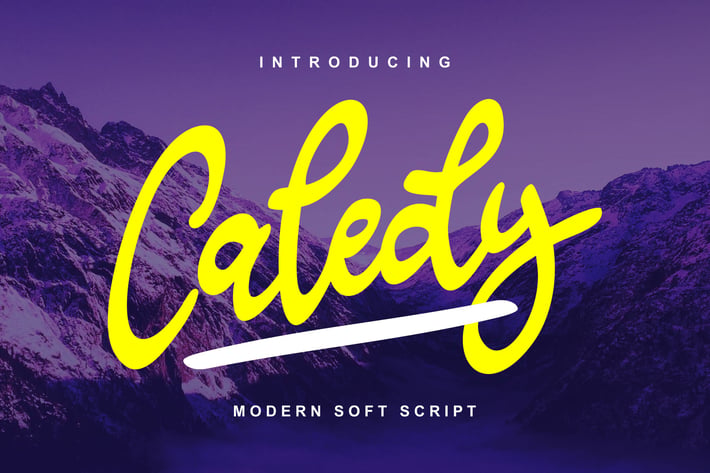 Caledy | Modern Soft Script 