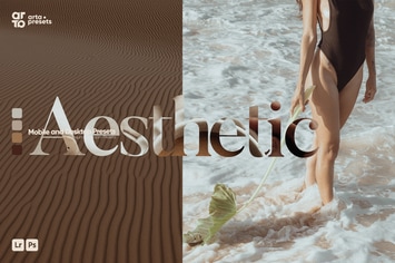 ARTA - Aesthetic Presets for Lightroom