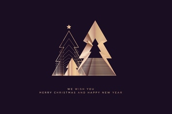 Christmas and New Year Greeting Card