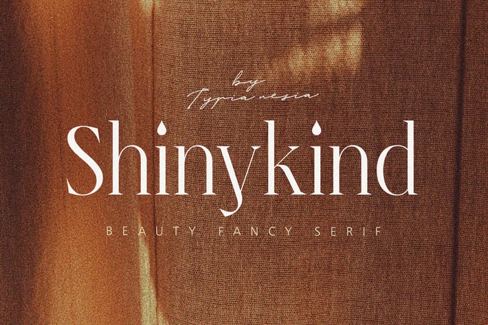 Shinykind - Beauty Elegant Aesthetic Serif
