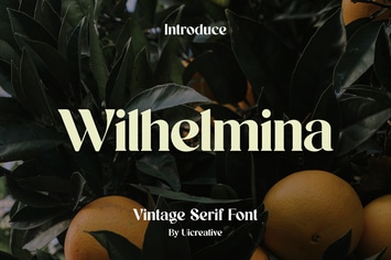 Wilhelmina Vintage Serif Font