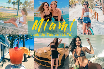 MIAMI - LUTs (Look Up Tables)