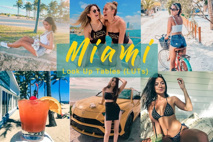 MIAMI - LUTs (Look Up Tables)