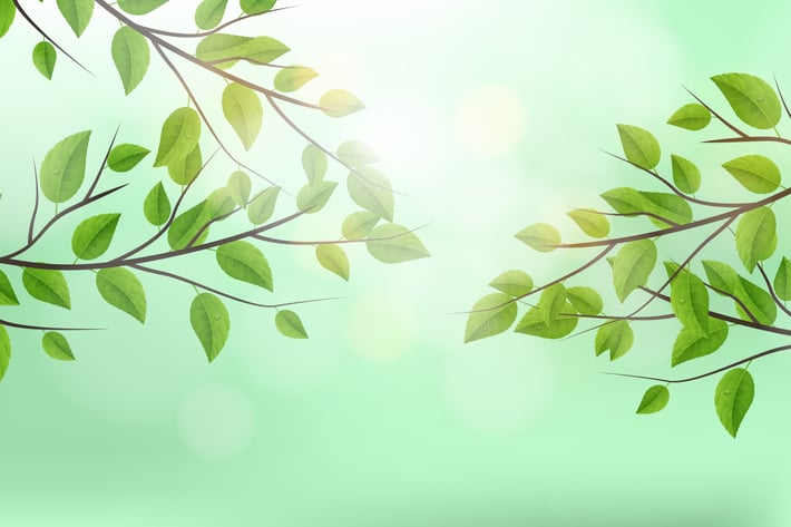Realistic Vector Tree Branch Background