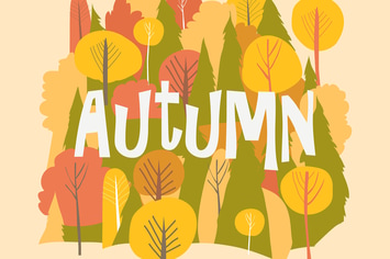 Vector autumn forest. Fall background. Hello autum