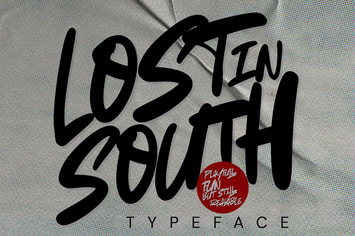 AN Lost in South - Natural Brush Font