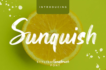 Sunquish Stylish Business Font